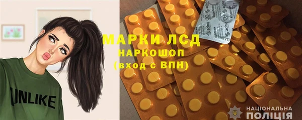 шишки Белокуриха