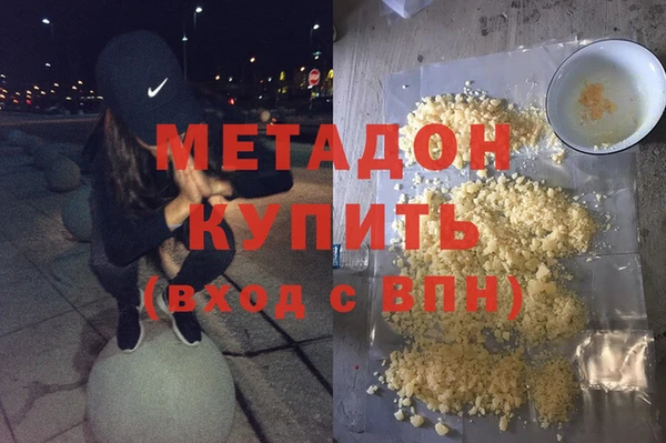 шишки Белокуриха