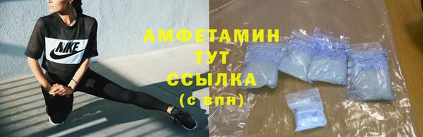 шишки Белокуриха