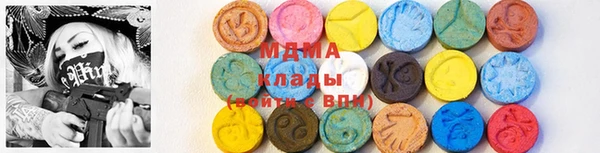 шишки Белокуриха