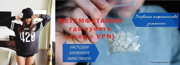 шишки Белокуриха