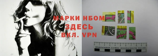шишки Белокуриха