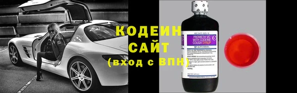 шишки Белокуриха