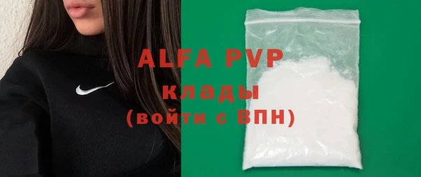 шишки Белокуриха