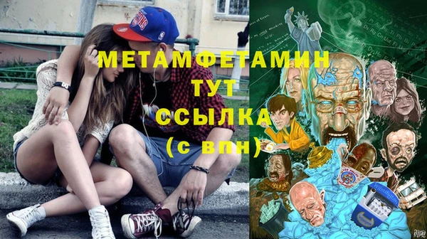 шишки Белокуриха