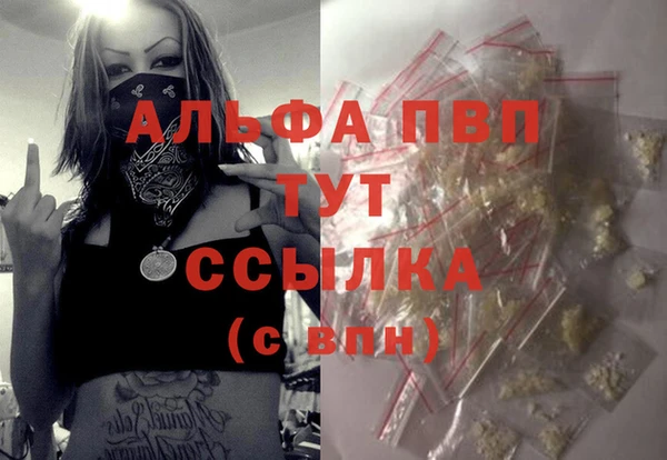 шишки Белокуриха