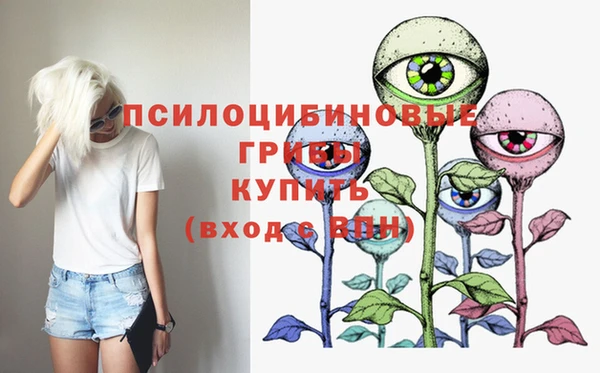 шишки Белокуриха