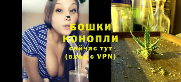 шишки Белокуриха
