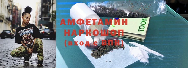 шишки Белокуриха