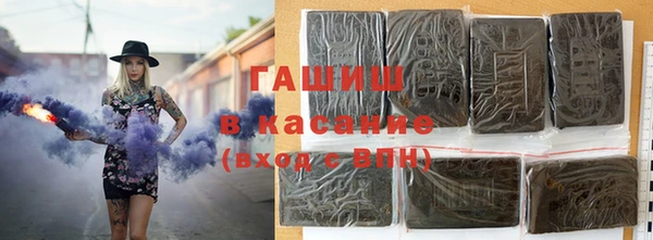 шишки Белокуриха